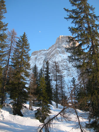 DSCN9698