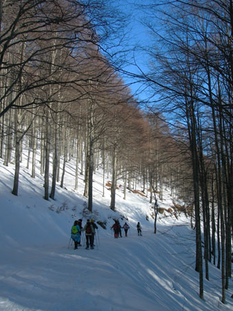 DSCN9896