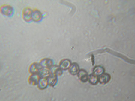 DSCN7582