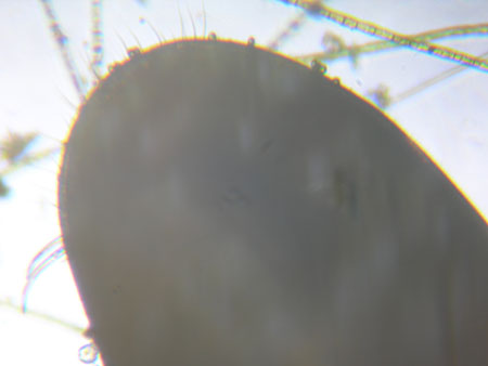 DSCN7590