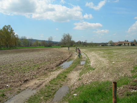 DSCN7664