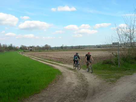 DSCN7805
