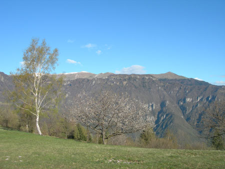 DSCN7819