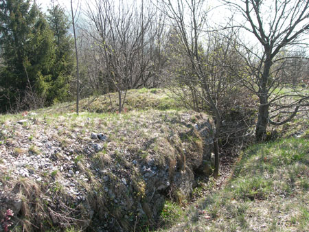 DSCN7825
