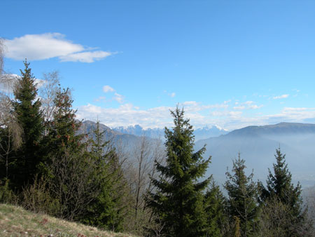 DSCN7826