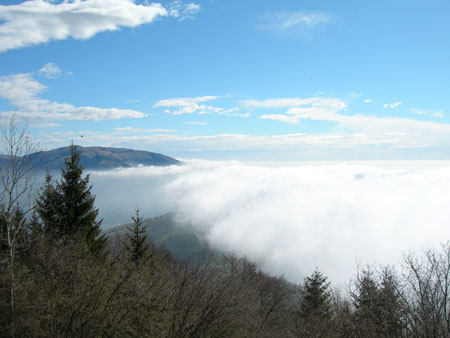 DSCN7845