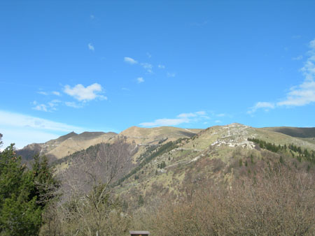 DSCN7847