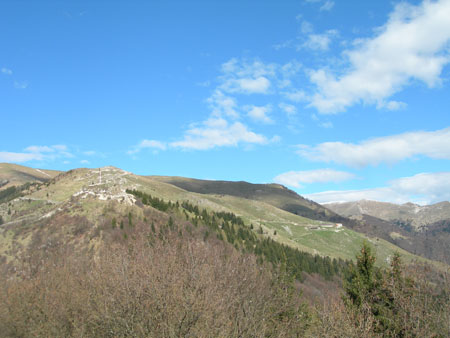 DSCN7848
