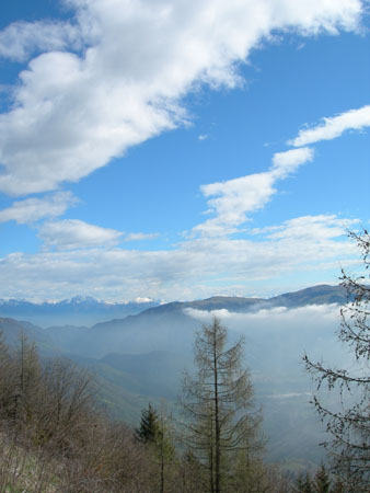 DSCN7869