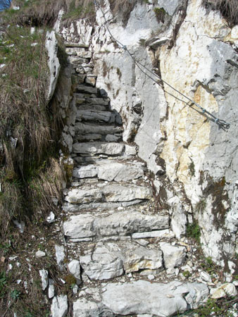 DSCN7870