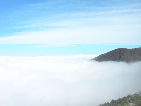 DSCN7882