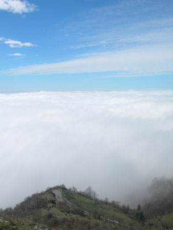 DSCN7886