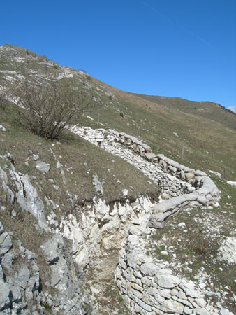 DSCN7897