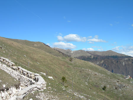 DSCN7899