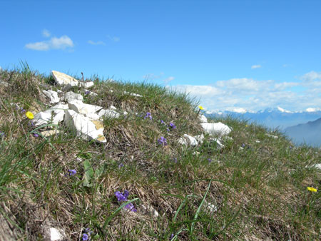 DSCN7905