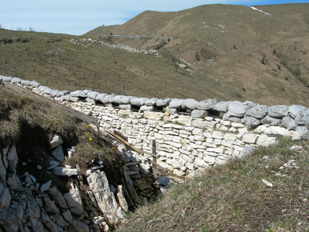 DSCN7938