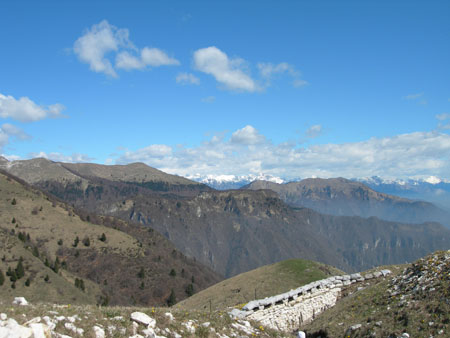 DSCN7945