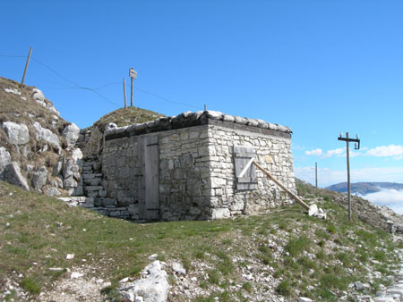 DSCN7955