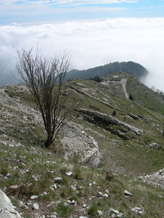 DSCN7956