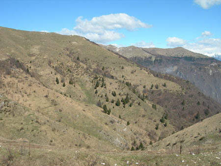 DSCN7958