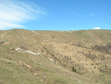 DSCN7960