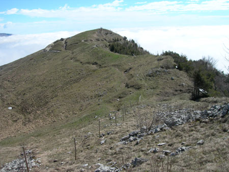 DSCN7972