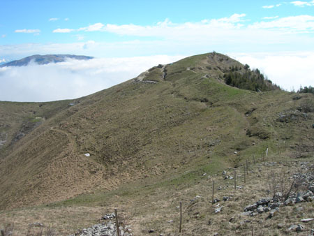 DSCN7973