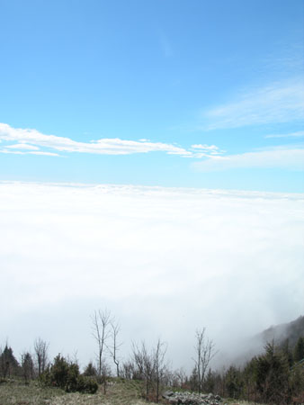 DSCN7975
