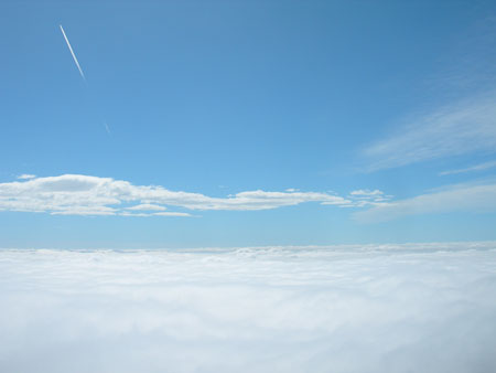 DSCN7976