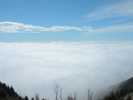 DSCN7977