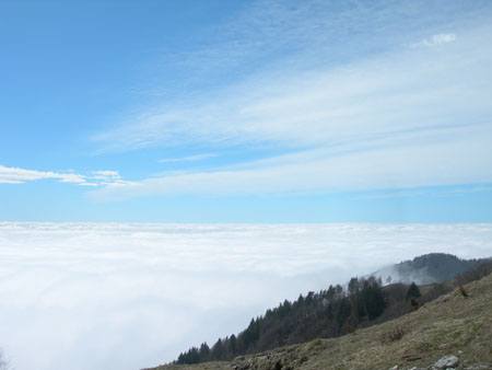 DSCN7980
