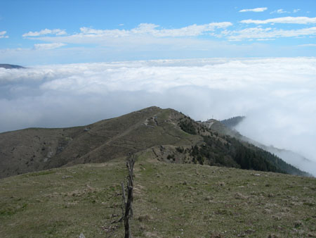DSCN7981