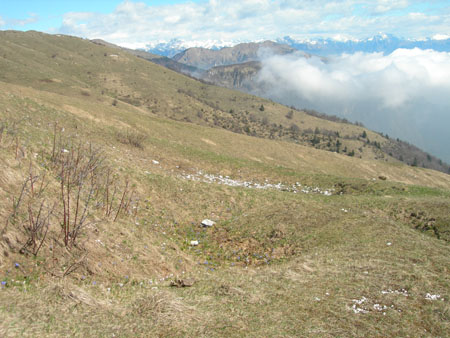 DSCN7983