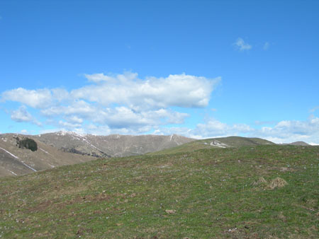 DSCN7988