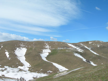 DSCN7990
