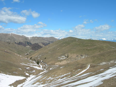 DSCN8013