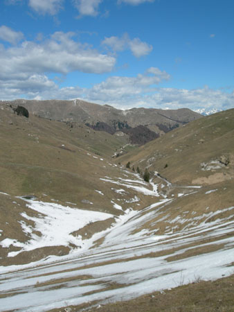 DSCN8014