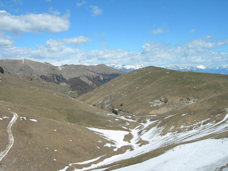 DSCN8017