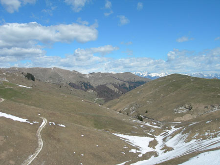 DSCN8018