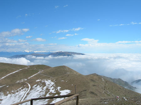 DSCN8028