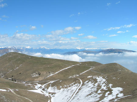 DSCN8029