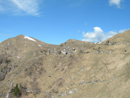 DSCN8045