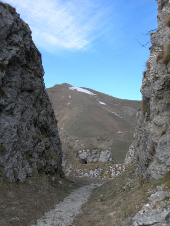 DSCN8052
