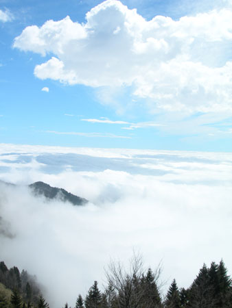 DSCN8067