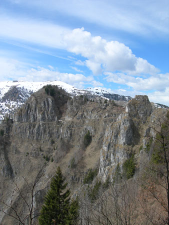 DSCN8076