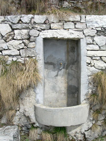 DSCN8090