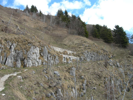 DSCN8092