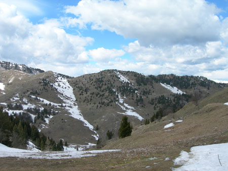 DSCN8100