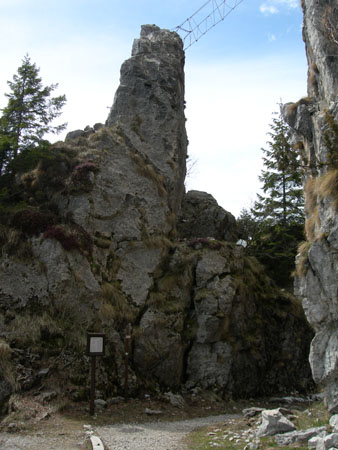 DSCN8109