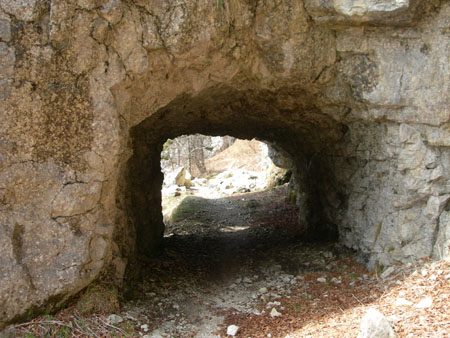 DSCN8127